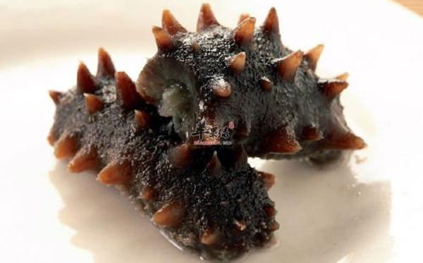 長島野生干海參到底好在哪里？