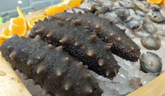 干海參禮盒多少錢？