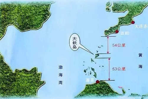 大欽島海參產(chǎn)地真正的野生