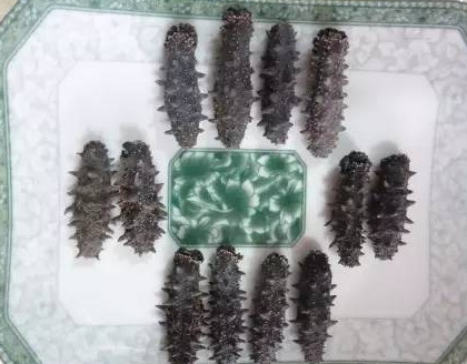 供應(yīng)高檔干海參禮盒，傳統(tǒng)晾曬